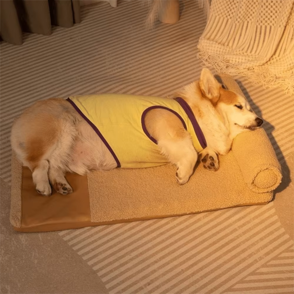 Practical Removable Dog Plush Bed Neck Protection