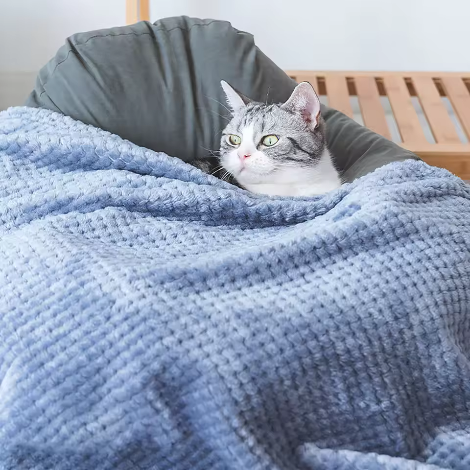 Soft Pet Blanket Plush Dog Sleeping Blanket Solid Color