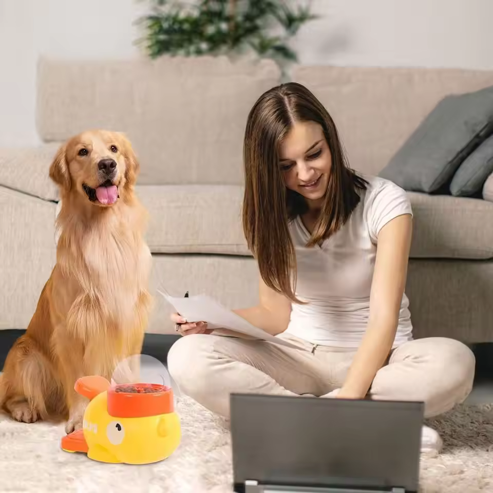 Intelligent Dog Automatic Feeder Cartoon Anti-slip - Image 7